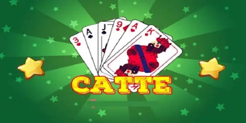 Bài catte và những thông tin giới thiệu 